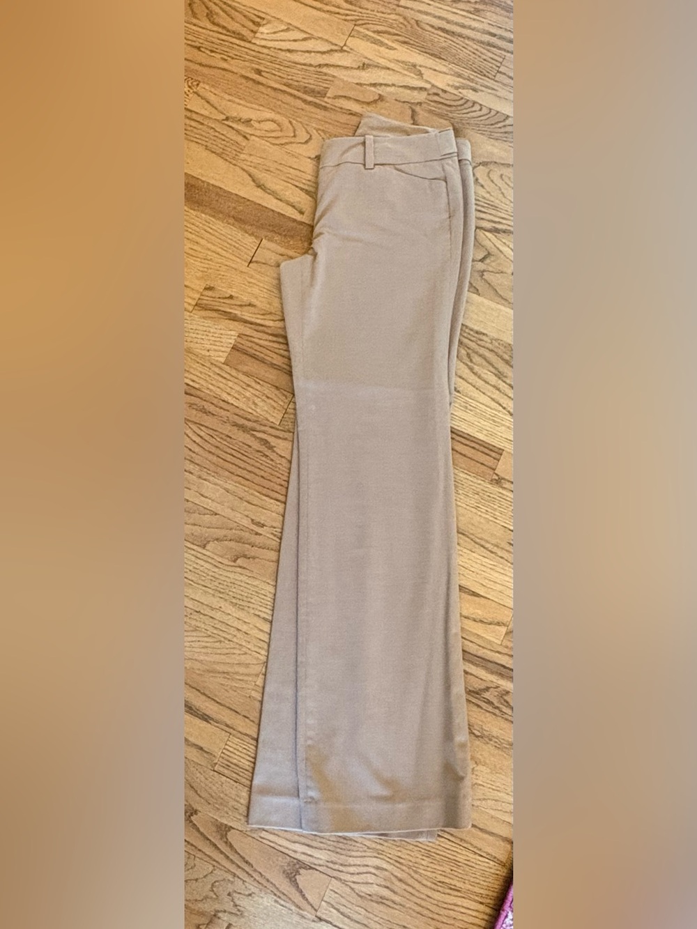 Ann Taylor Beige Dress Pants